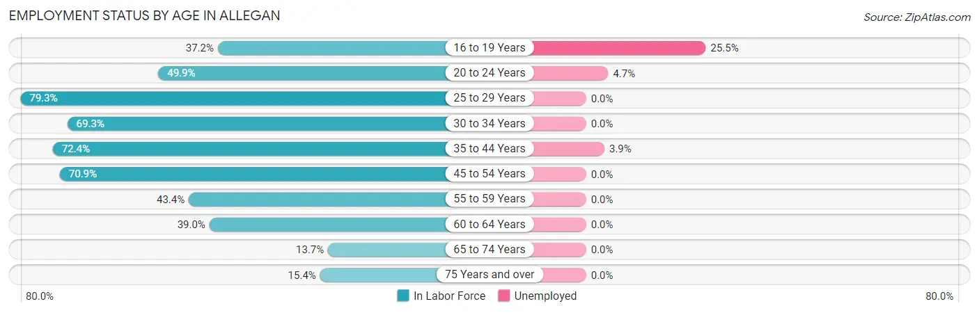 Employment Status by Age in Allegan