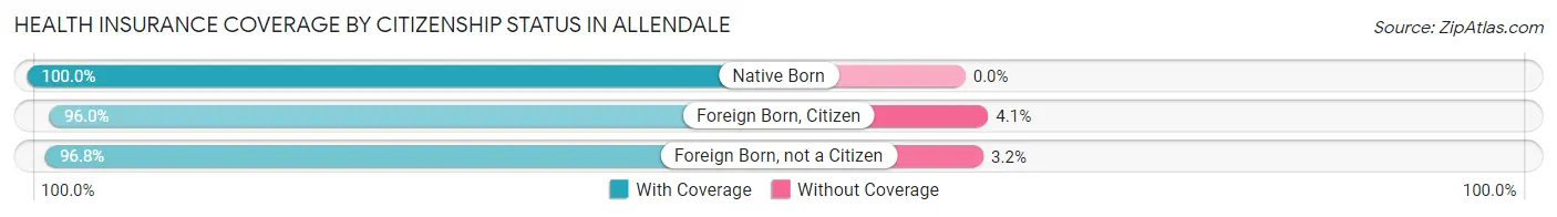 Health Insurance Coverage by Citizenship Status in Allendale