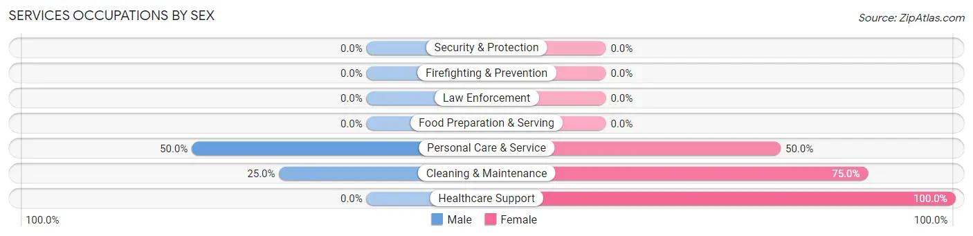 Services Occupations by Sex in Amasa