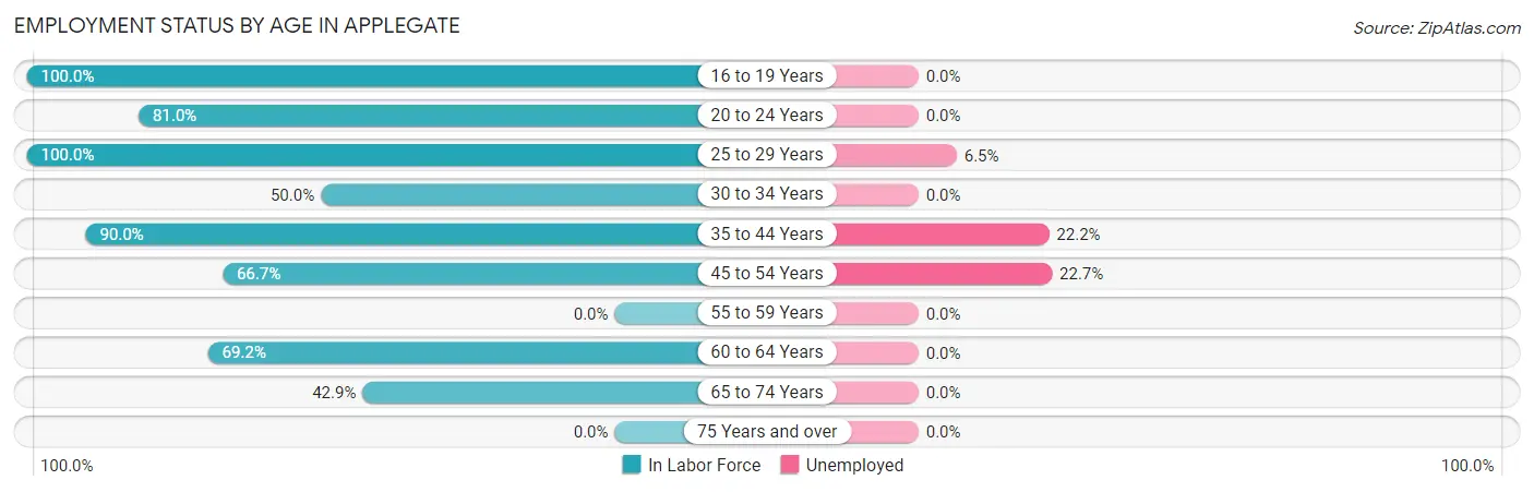 Employment Status by Age in Applegate