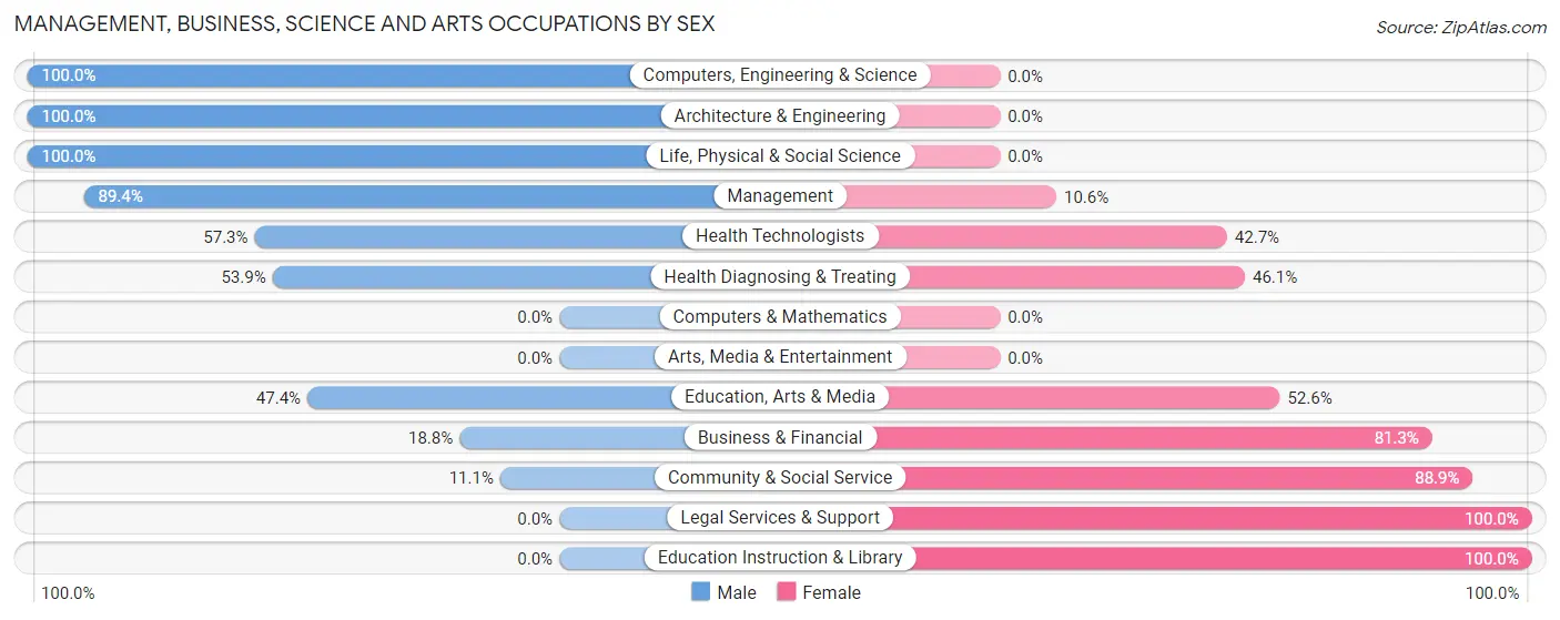 Management, Business, Science and Arts Occupations by Sex in Argentine