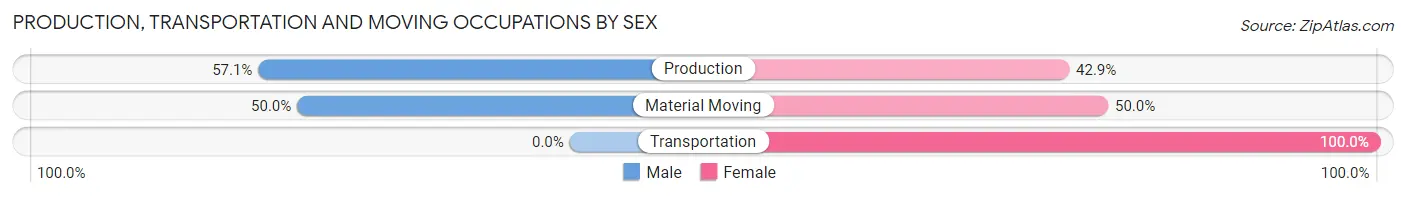 Production, Transportation and Moving Occupations by Sex in Argentine