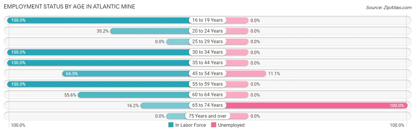 Employment Status by Age in Atlantic Mine