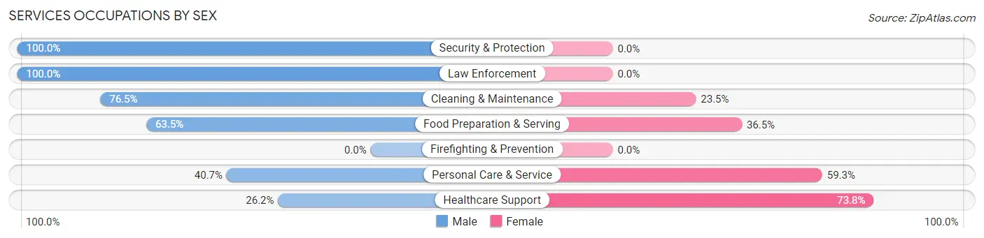 Services Occupations by Sex in Augusta