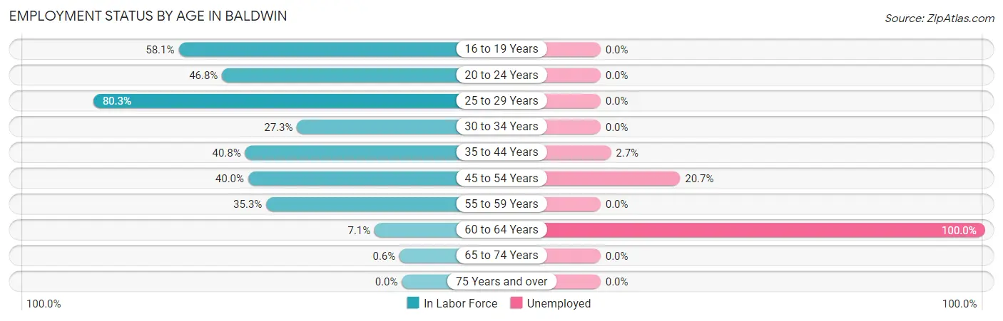 Employment Status by Age in Baldwin