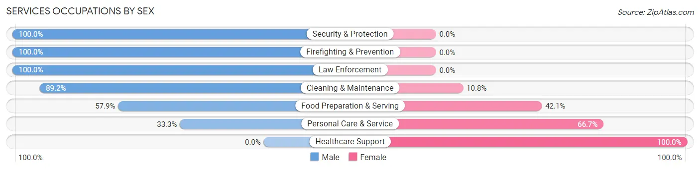 Services Occupations by Sex in Bangor
