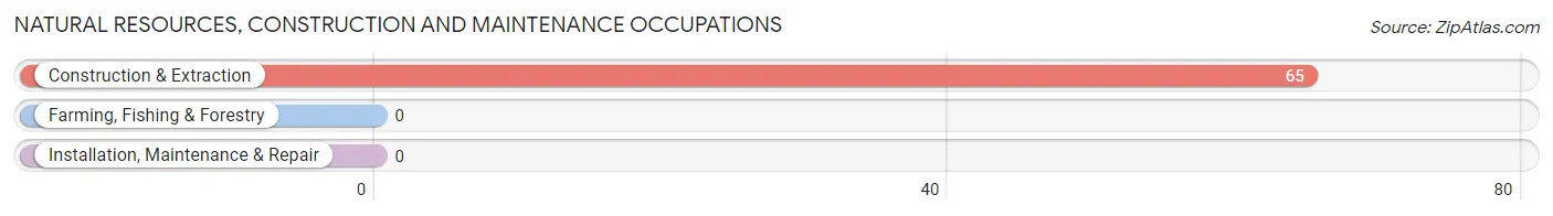 Natural Resources, Construction and Maintenance Occupations in Barnes Lake