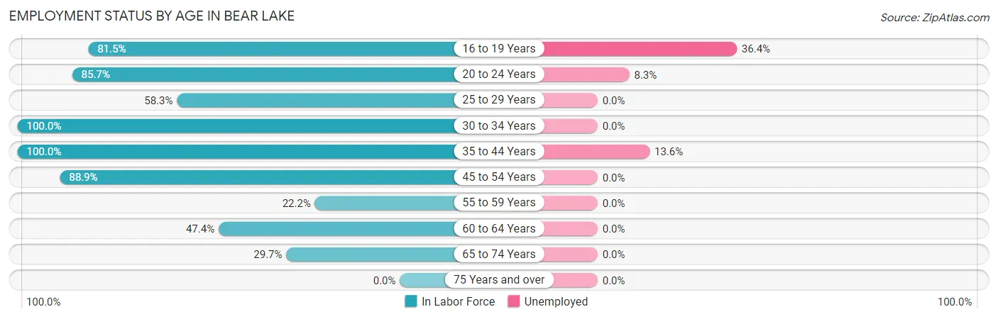 Employment Status by Age in Bear Lake