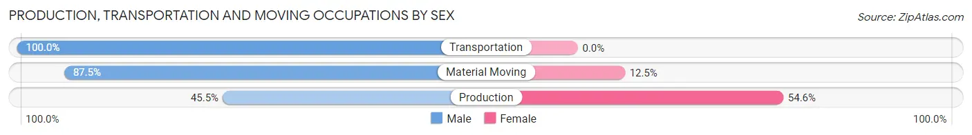 Production, Transportation and Moving Occupations by Sex in Bear Lake