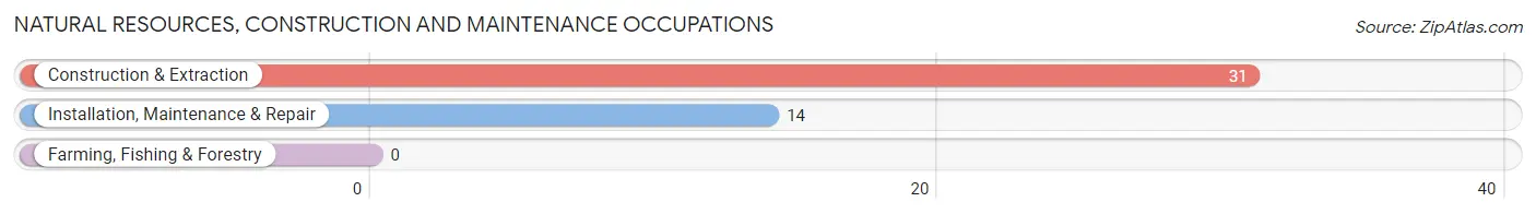 Natural Resources, Construction and Maintenance Occupations in Bellaire