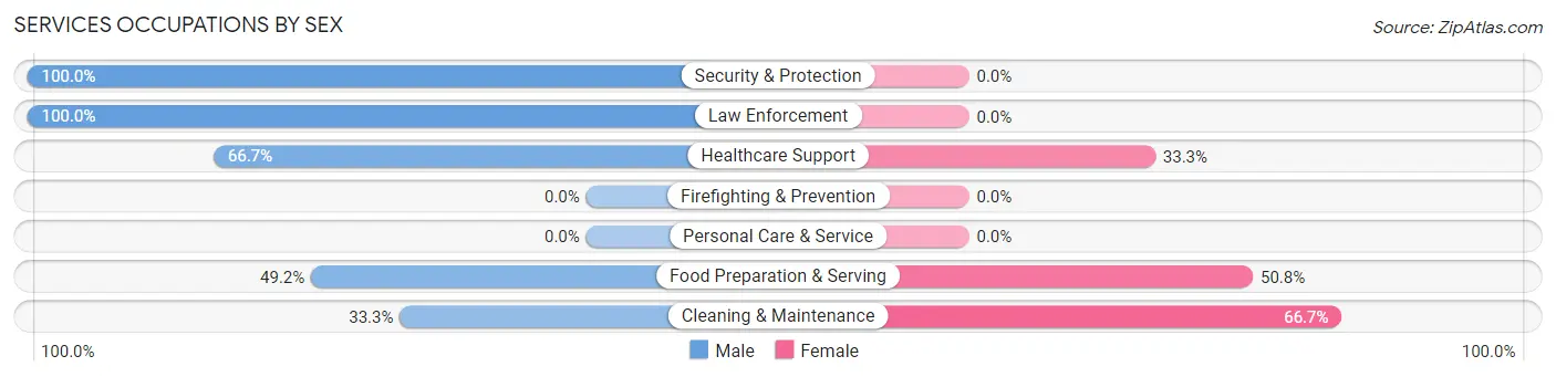 Services Occupations by Sex in Bellaire
