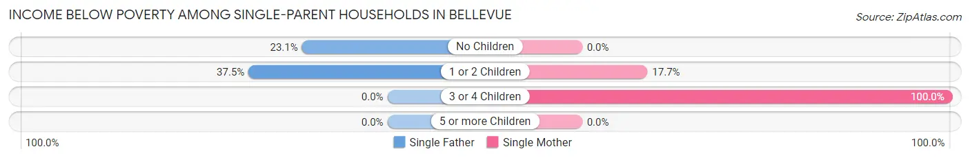 Income Below Poverty Among Single-Parent Households in Bellevue