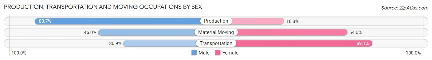 Production, Transportation and Moving Occupations by Sex in Benton Harbor