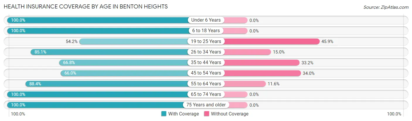 Health Insurance Coverage by Age in Benton Heights