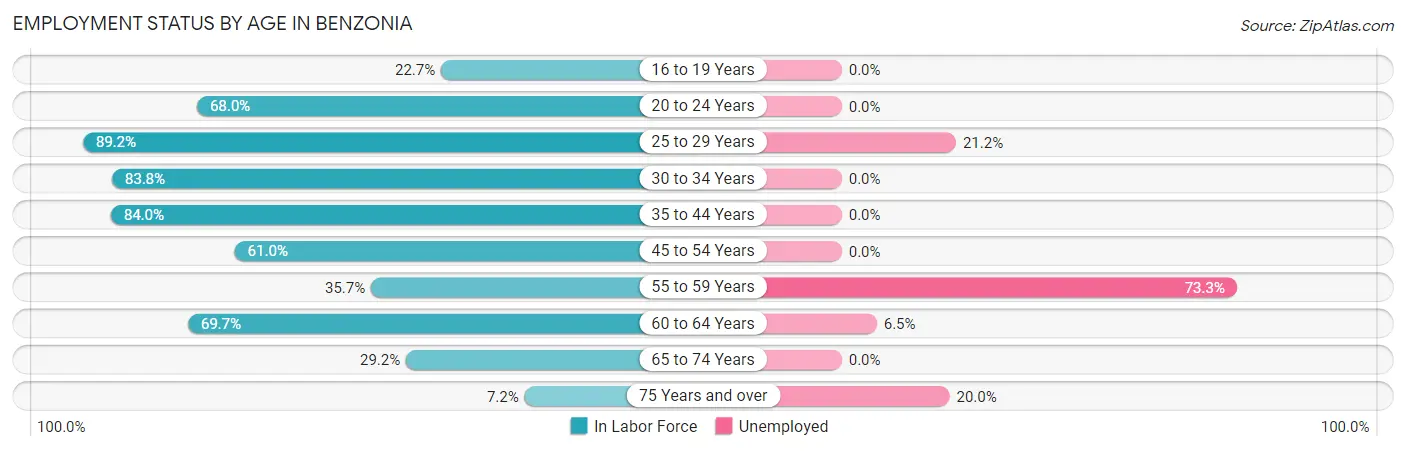 Employment Status by Age in Benzonia