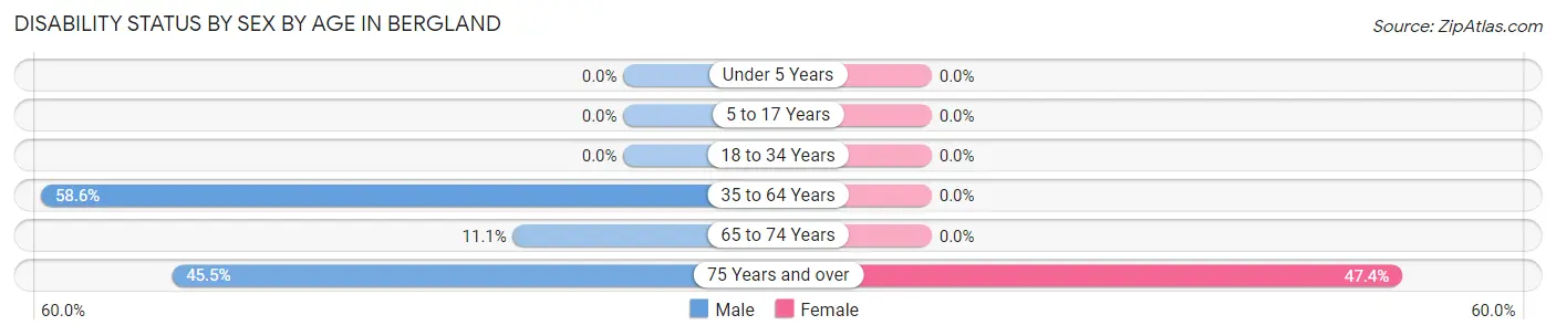 Disability Status by Sex by Age in Bergland