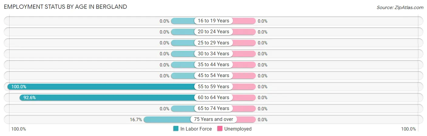 Employment Status by Age in Bergland