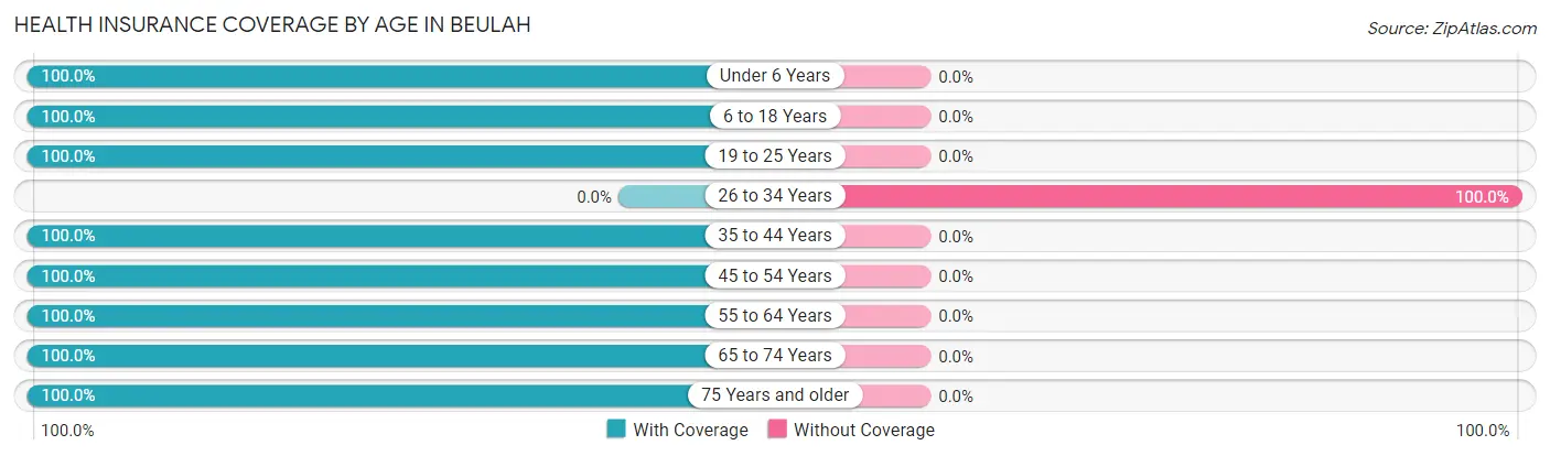 Health Insurance Coverage by Age in Beulah