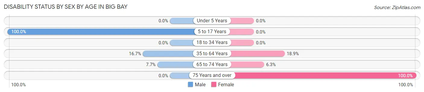 Disability Status by Sex by Age in Big Bay