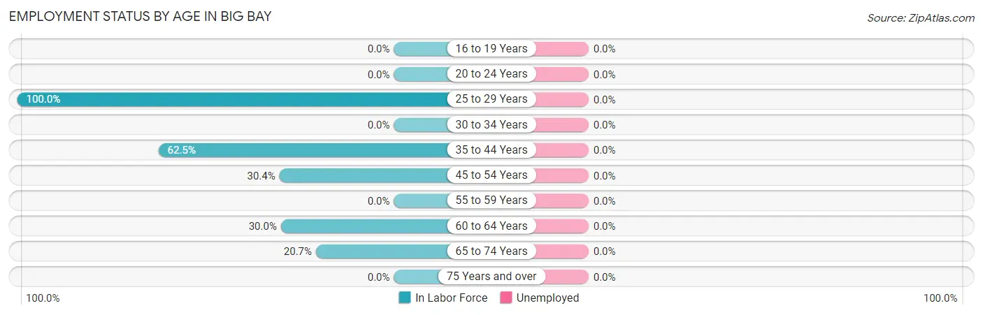 Employment Status by Age in Big Bay