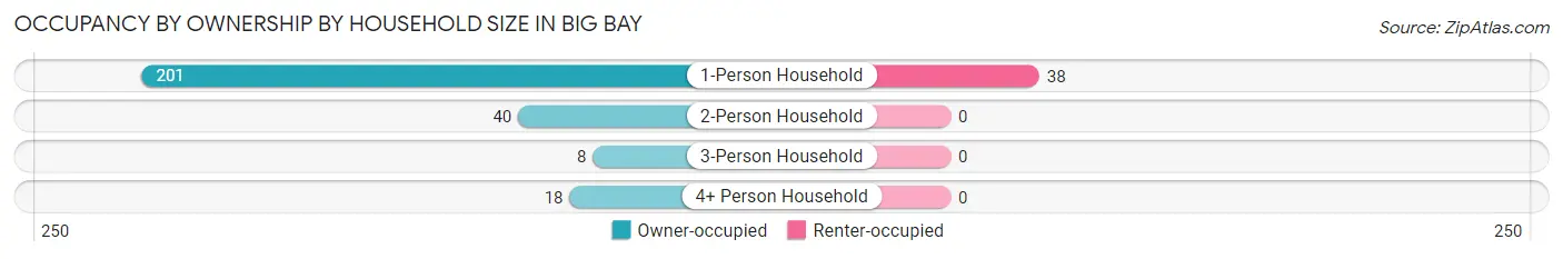Occupancy by Ownership by Household Size in Big Bay