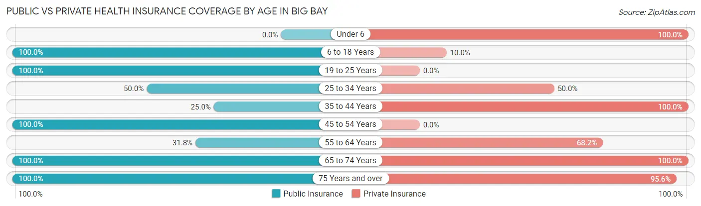 Public vs Private Health Insurance Coverage by Age in Big Bay