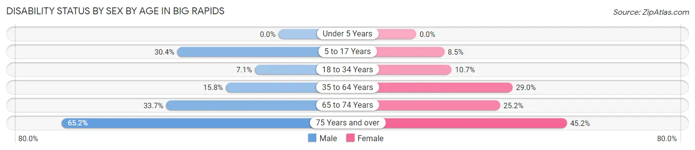 Disability Status by Sex by Age in Big Rapids