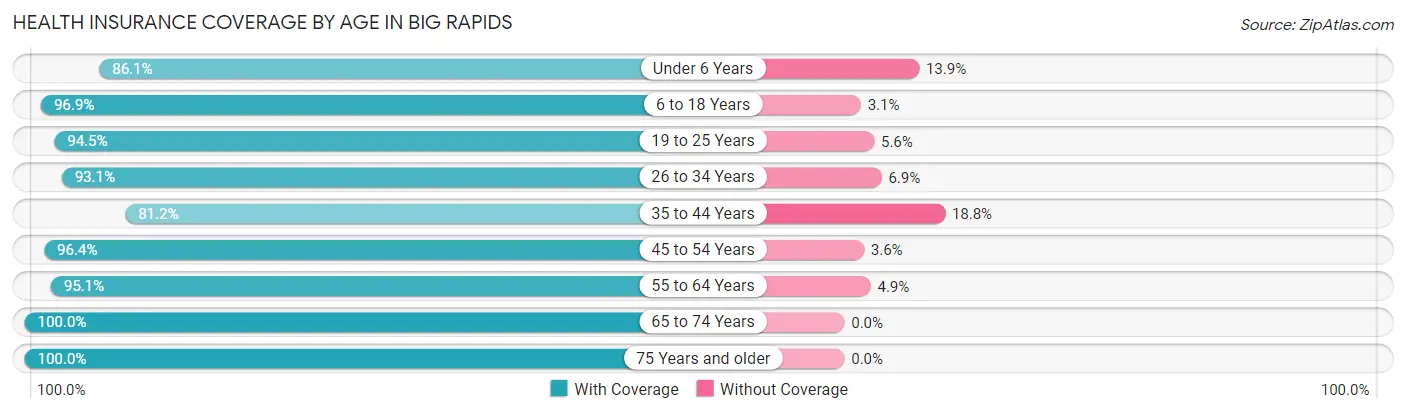 Health Insurance Coverage by Age in Big Rapids