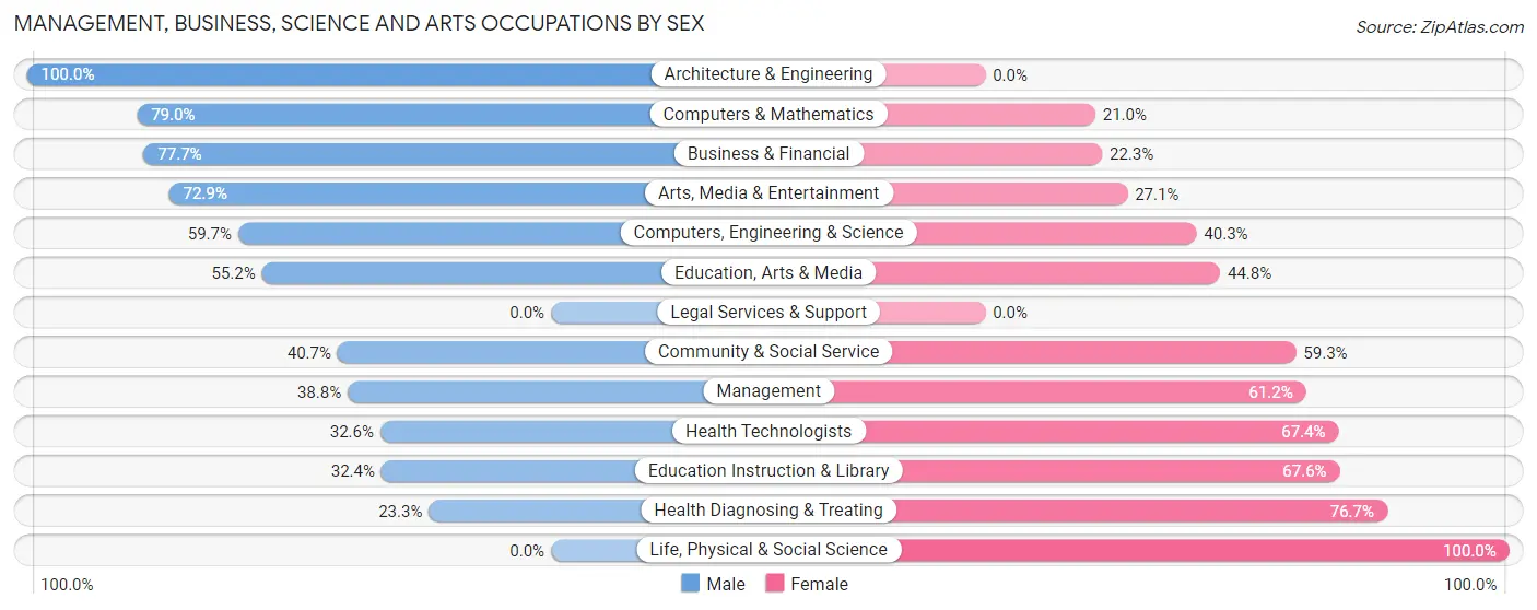 Management, Business, Science and Arts Occupations by Sex in Big Rapids