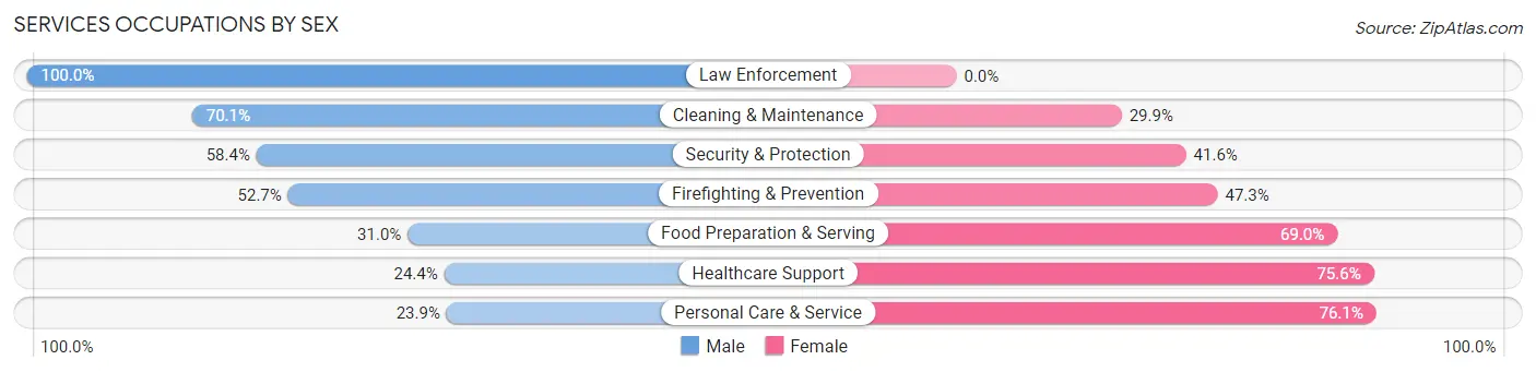 Services Occupations by Sex in Big Rapids