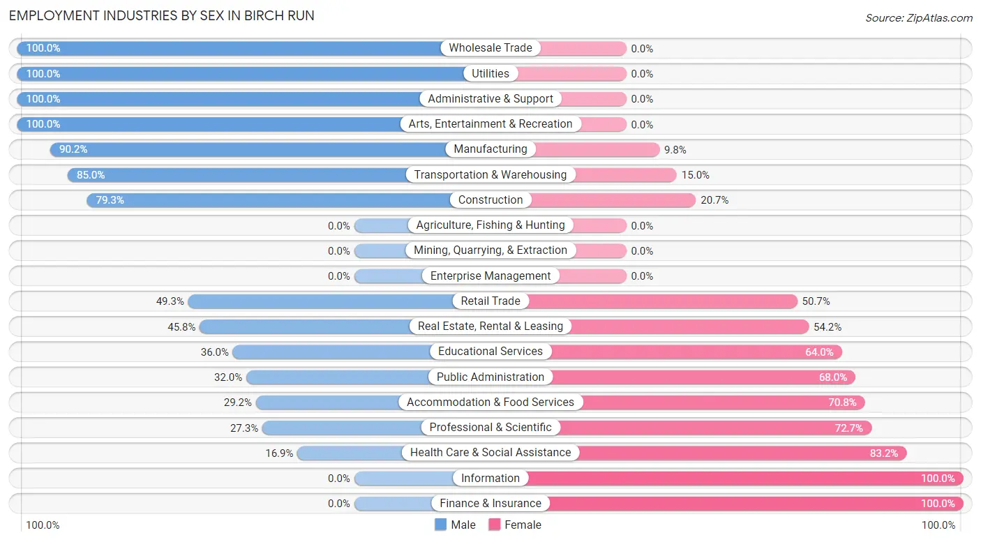 Employment Industries by Sex in Birch Run