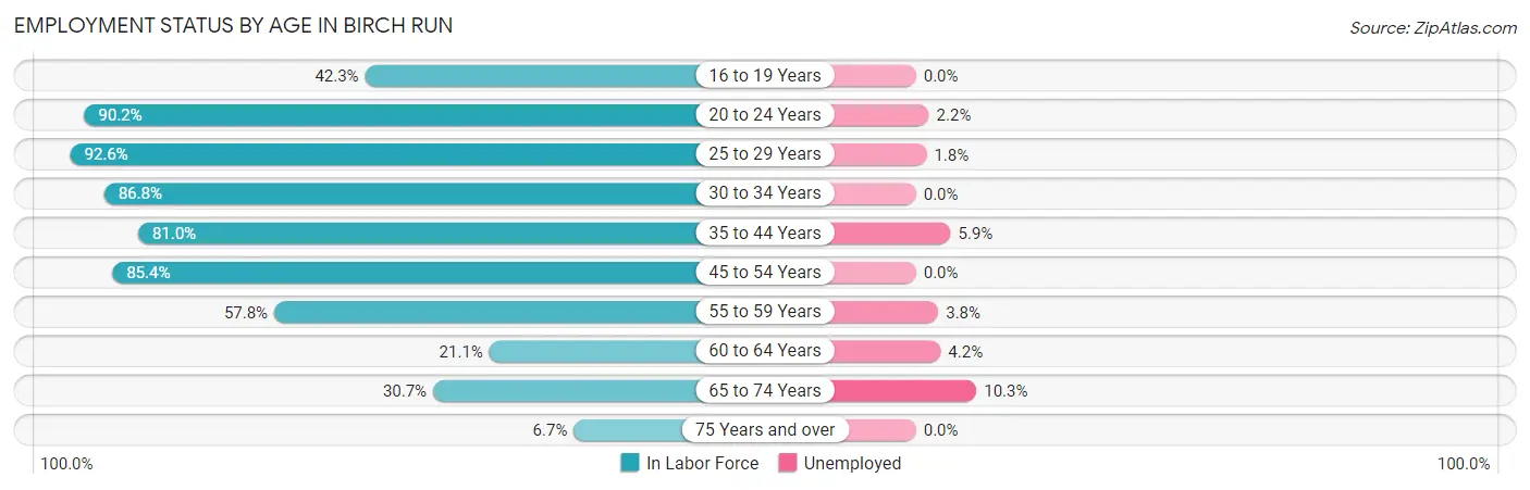 Employment Status by Age in Birch Run