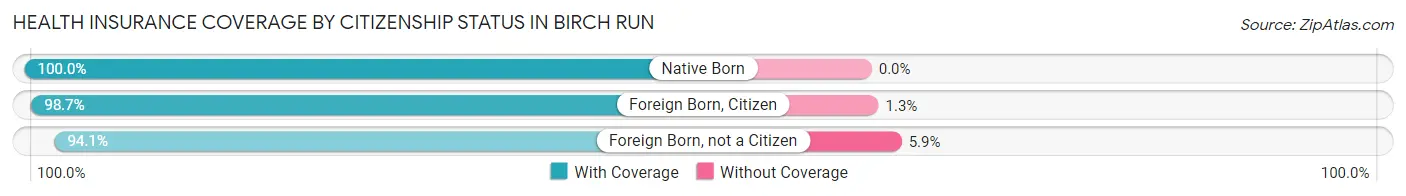 Health Insurance Coverage by Citizenship Status in Birch Run