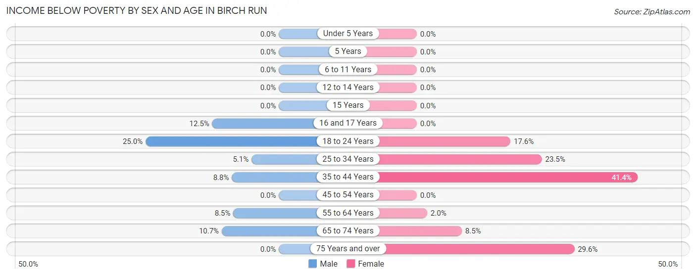 Income Below Poverty by Sex and Age in Birch Run