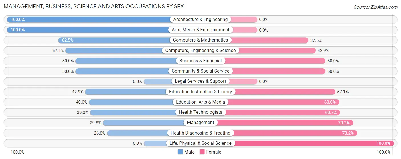 Management, Business, Science and Arts Occupations by Sex in Birch Run
