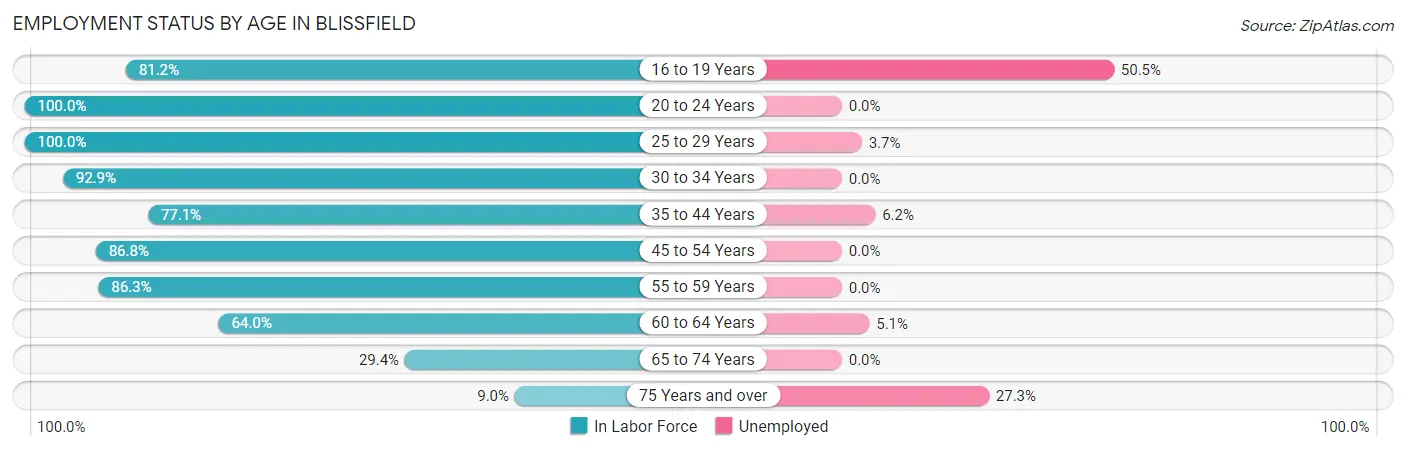 Employment Status by Age in Blissfield
