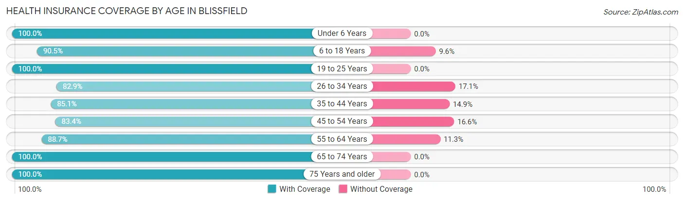 Health Insurance Coverage by Age in Blissfield
