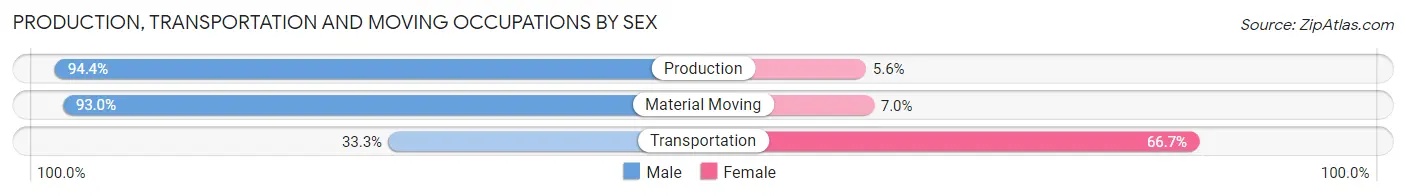Production, Transportation and Moving Occupations by Sex in Blissfield