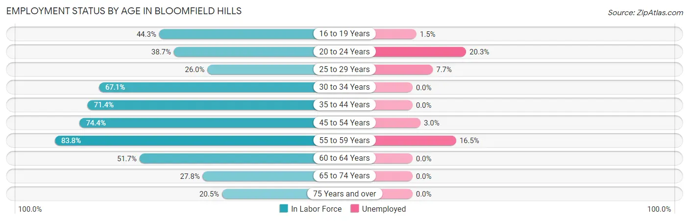 Employment Status by Age in Bloomfield Hills