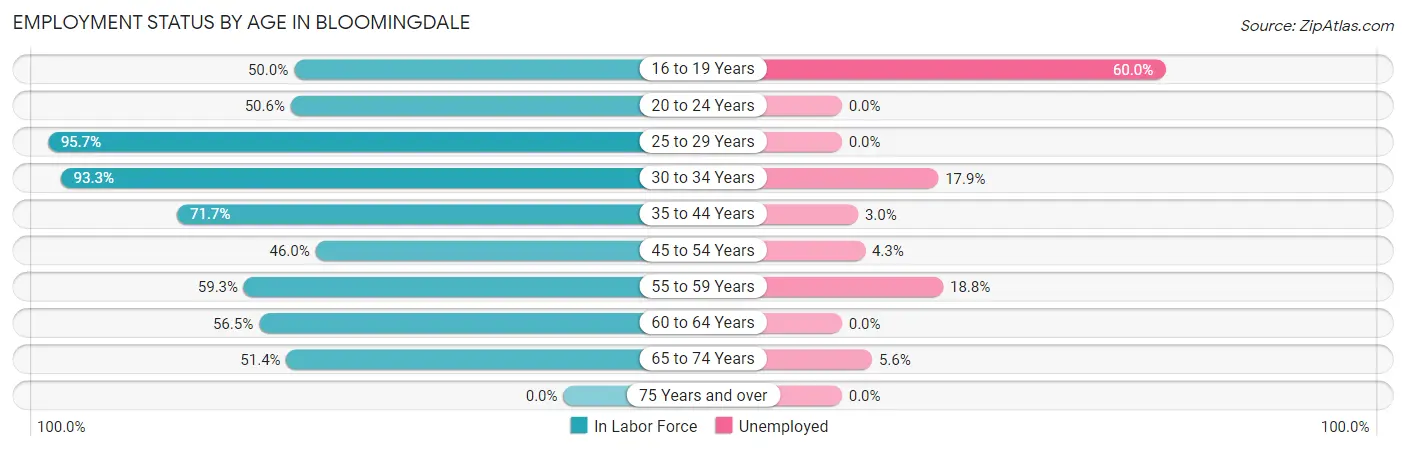 Employment Status by Age in Bloomingdale