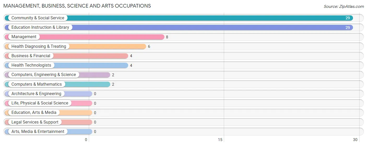 Management, Business, Science and Arts Occupations in Bloomingdale