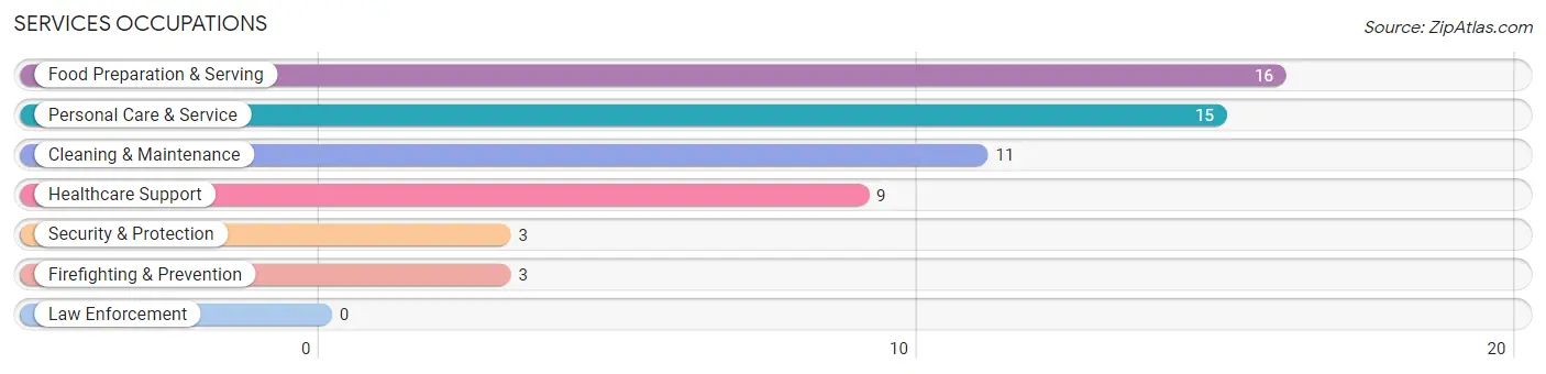 Services Occupations in Bloomingdale