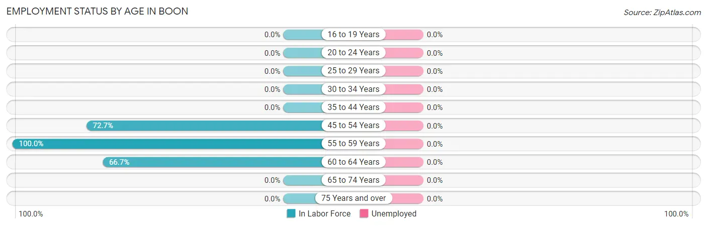 Employment Status by Age in Boon