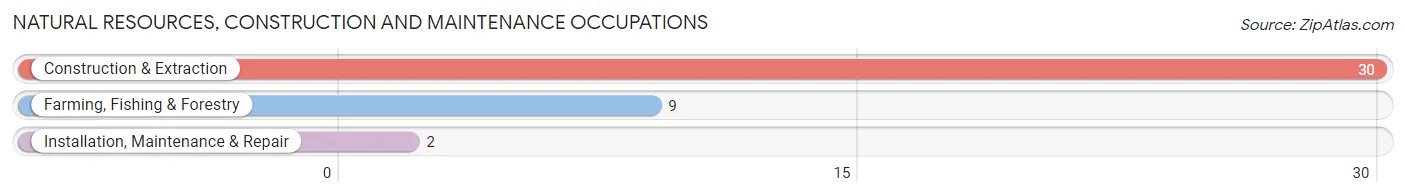 Natural Resources, Construction and Maintenance Occupations in Breedsville