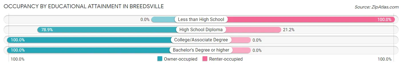 Occupancy by Educational Attainment in Breedsville