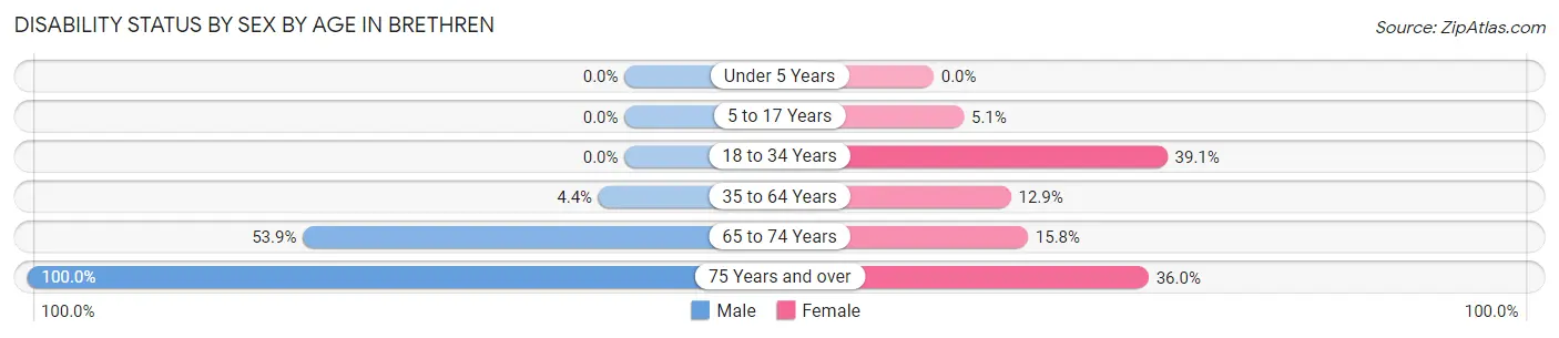 Disability Status by Sex by Age in Brethren