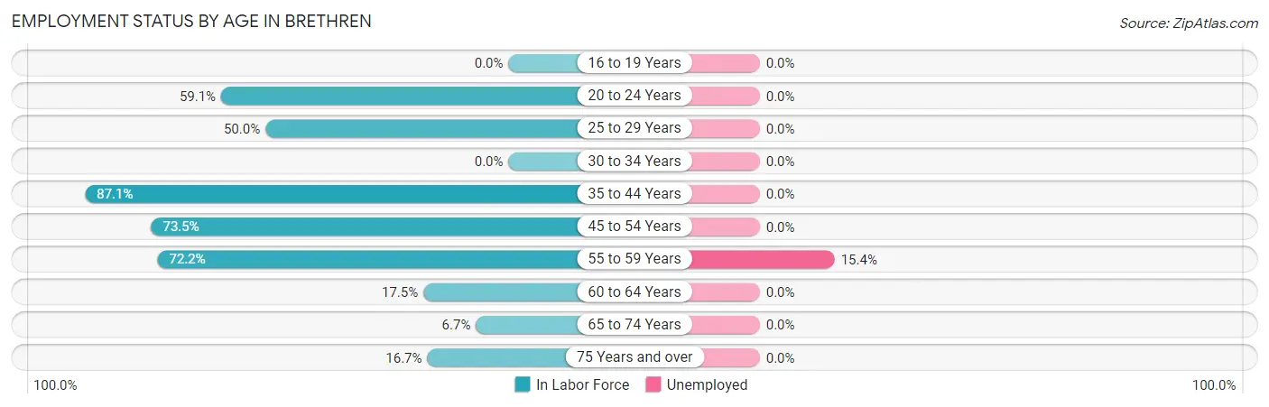 Employment Status by Age in Brethren