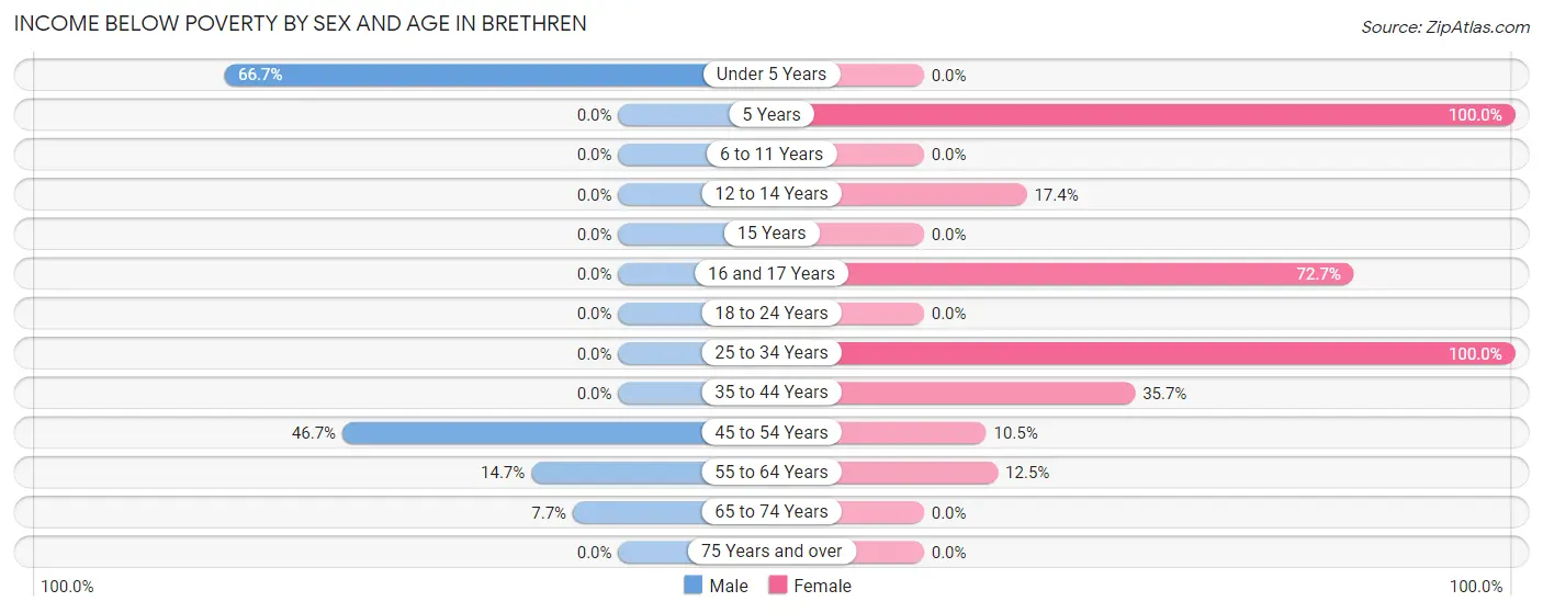 Income Below Poverty by Sex and Age in Brethren
