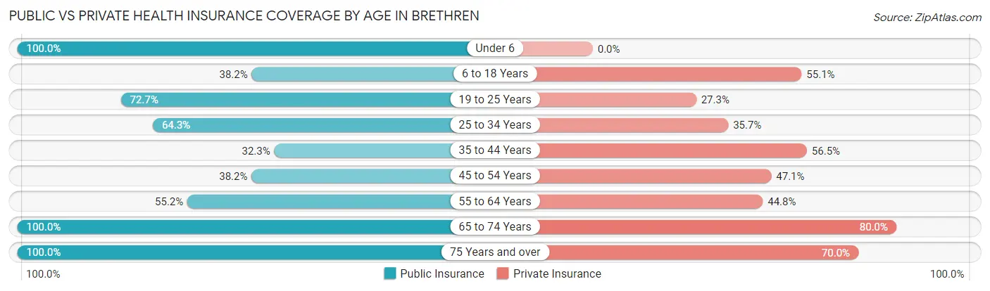 Public vs Private Health Insurance Coverage by Age in Brethren
