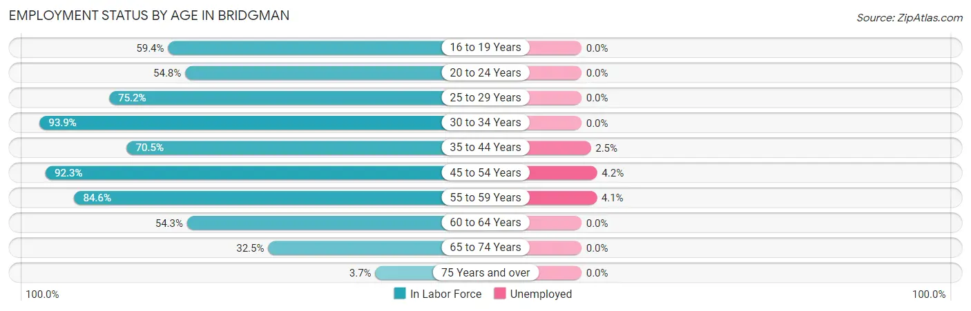 Employment Status by Age in Bridgman